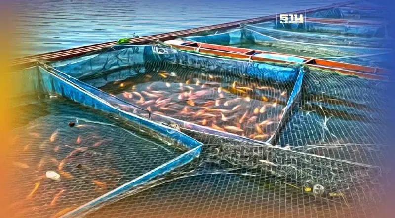 คพ. เตือน ปัญหาคุณภาพน้ำต้นฤดูฝน พบเข้าอยู่เกณฑ์เสื่อมโทรมเพิ่มขึ้น