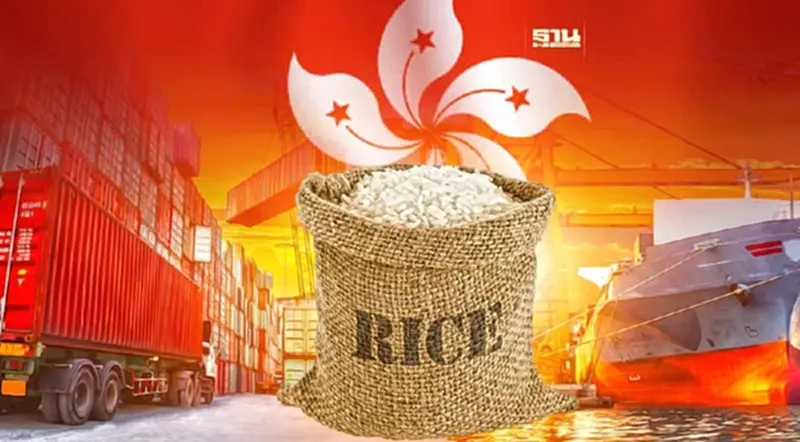 “ส่งออกข้าวไทย"รุกตลาดฮ่องกงเร่งรักษาส่วนแบ่งตลาดเบอร์1 “ส่งออกข้าวไทย"รุกตลาดฮ่องกงเร่งรักษาส่วนแบ่งตลาดเบอร์1