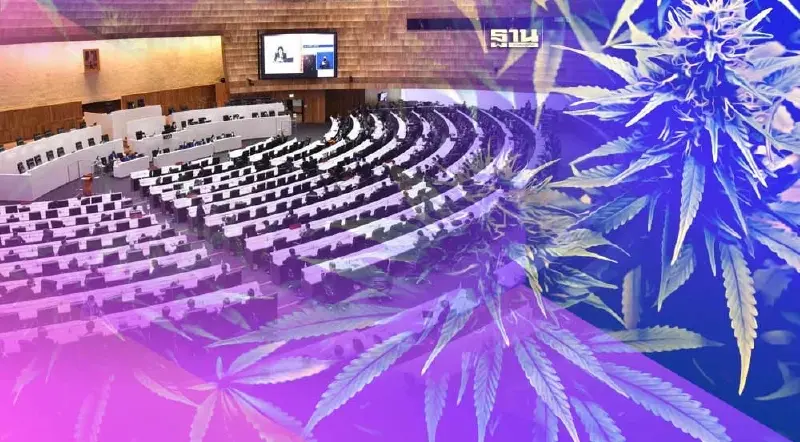 หุ้นกัญชายังไม่สะเทือนนโยบายรัฐบาลก้าวไกล