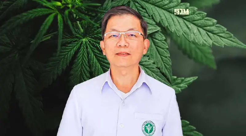 กรมการแพทย์แผนไทยฯ ย้ำผู้ประกอบการกัญชาต้องส่งรายงานทุกเดือน