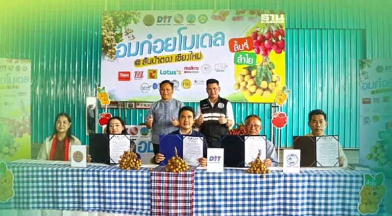 เชียงใหม่เคลื่อน"อมก๋อยโมเดล"นำรายใหญ่ซื้อมะม่วงลิ้นจี่ลำไยดันราคา เชียงใหม่เคลื่อน"อมก๋อยโมเดล"นำรายใหญ่ซื้อมะม่วงลิ้นจี่ลำไยดันราคา