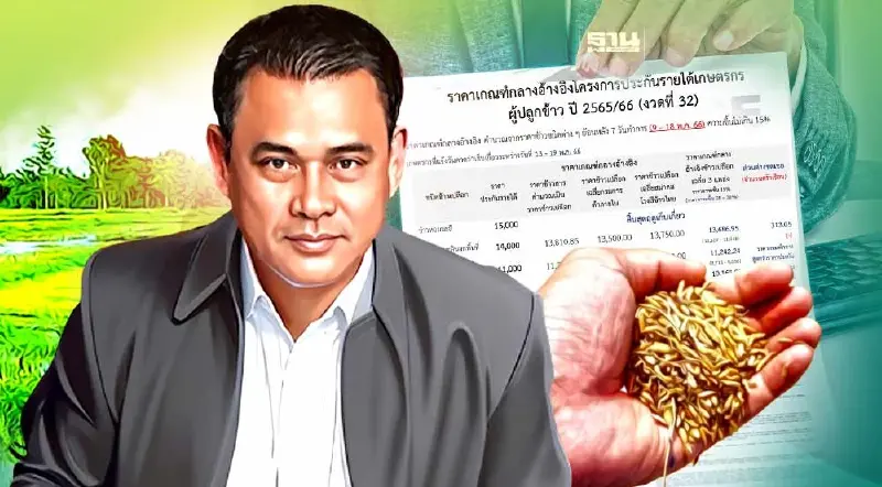 จับตา โค้งสุดท้าย “ประกันรายได้ข้าว”  งวด 32 มาแล้ว
