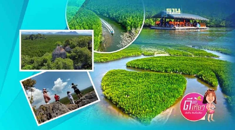 ตรังไม่ได้มีดีแค่ทะเล อันซีน “บ้านน้ำราบ” ป่าโกงกางรูปหัวใจ ตรังไม่ได้มีดีแค่ทะเล อันซีน “บ้านน้ำราบ” ป่าโกงกางรูปหัวใจ