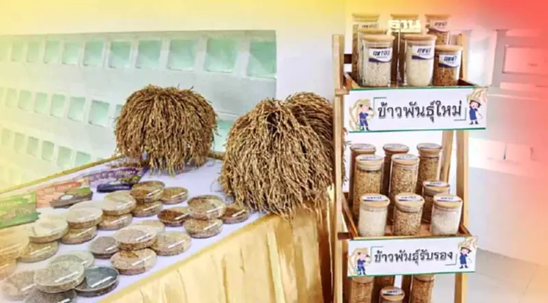 “วันข้าวและชาวนาปี 66” ลุยโปรโมททำนายุคใหม่ ขายคาร์บอนเครดิต “วันข้าวและชาวนาปี 66” ลุยโปรโมททำนายุคใหม่ ขายคาร์บอนเครดิต