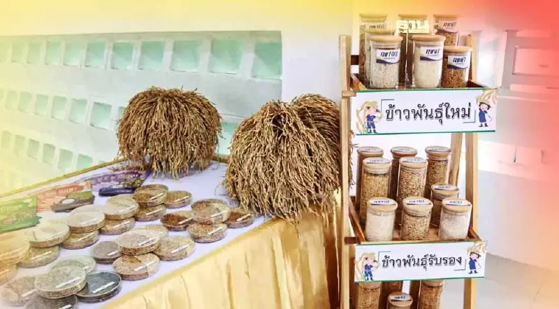 “วันข้าวและชาวนาปี 66” ลุยโปรโมททำนายุคใหม่ ขายคาร์บอนเครดิต
