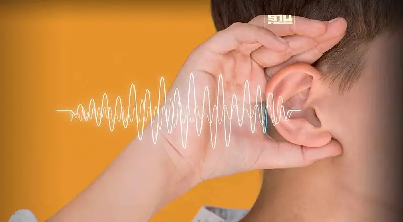 โรคเกลียดเสียง Misophonia ทำไมแค่เสียงเคี้ยวข้าวก็ทนไม่ได้ โรคเกลียดเสียง Misophonia ทำไมแค่เสียงเคี้ยวข้าวก็ทนไม่ได้
