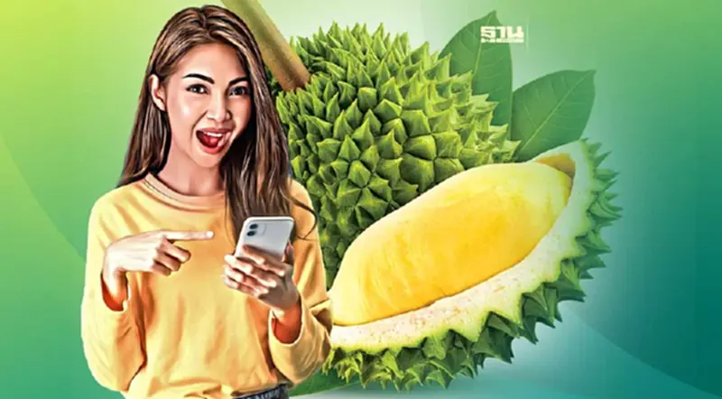 “ทุเรียนใต้” มาแล้ว ชาวสวนยิ้มราคาดีเกรดส่งออก120-135บาท/กก. “ทุเรียนใต้” มาแล้ว ชาวสวนยิ้มราคาดีเกรดส่งออก120-135บาท/กก.