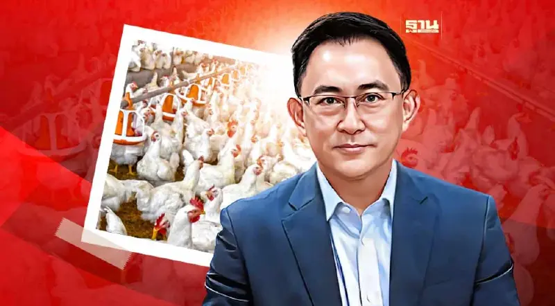 สนค.เปิดตัวแดชบอร์ดใหม่“ไก่เนื้อ”ช่วยผปก.วางแผนทำธุรกิจ