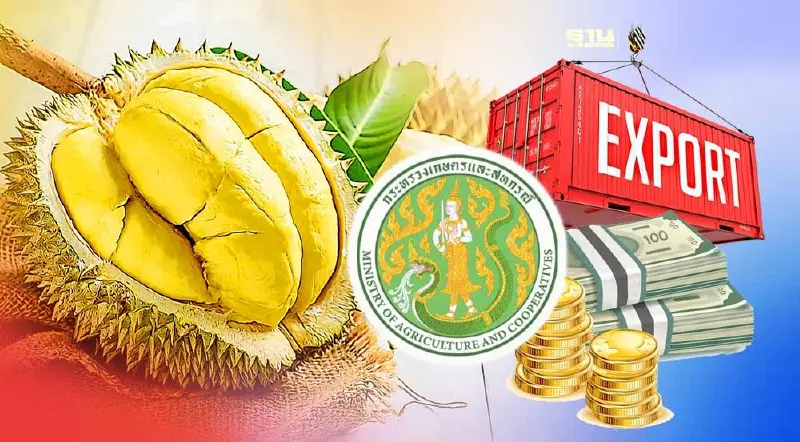 กระทรวงเกษตรฯ เผย  ทุเรียนไทย  ส่งออกมูลค่า 6 หมื่นล้าน