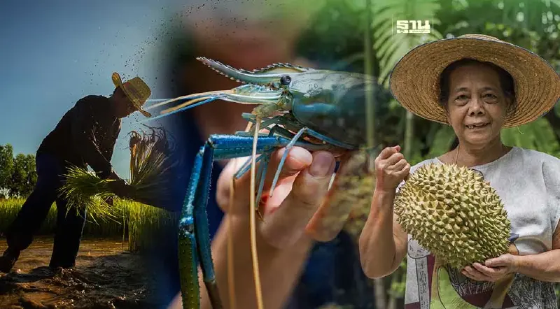 “พาณิชย์”เดินหน้าสร้างรายได้สู่ชุมชนดันสินค้าเกษตรขึ้นทะเบียนGI