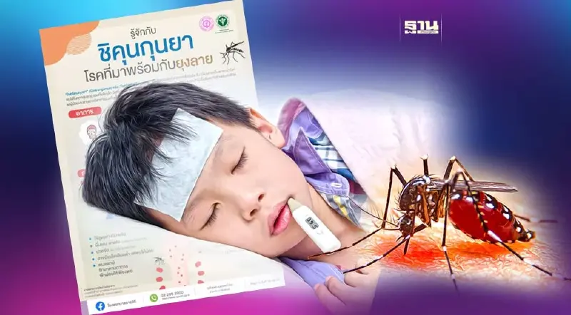 “โรคชิคุนกุนยา” คืออะไร อาการยังไง อันตรายแค่ไหน เช็คทื่นี่