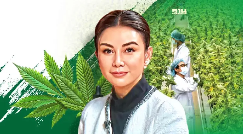 ‘กัญชาเสรี’ ป่วน‘ณุศาศิริ’ปรับแผนยกเลิกปลูก 80 ไร่