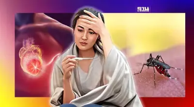 ไข้เลือดออกอาการอย่างไร ห้ามกินยาชนิดไหน ถึงตายหรือไม่ เช็คเลย