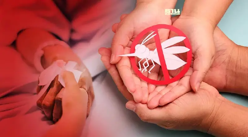 ไข้เลือดออกระบาดพบ 5 เดือนป่วยพุ่ง 4.2 เท่า เสียชีวิต 15 ราย