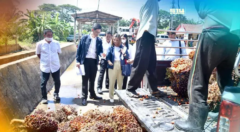ตรวจเข้มลานเท โรงสกัดน้ำมันปาล์ม ปกป้องสิทธิเกษตรกร