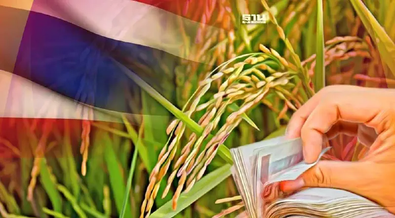 กระแสตอบรับข้าวไทยยังพุ่ง  ยอดสั่งซื้อเพิ่มกว่า300ล้าน