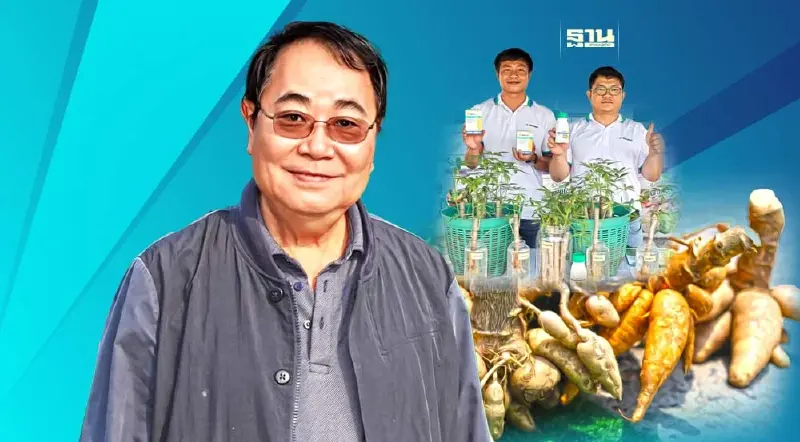 ส่งออกสัญญาณดี ‘กลุ่มพูลผล’ หนุนเกษตรกรเพิ่มผลผลิตมันสำปะหลัง