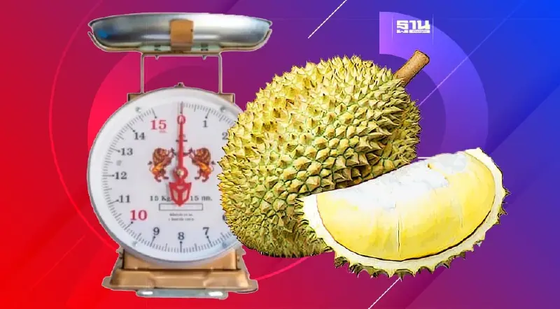เชือดอีกราย พ่อค้าทุเรียนโกงตาชั่งแอบกดเพิ่มน้ำหนักทุเรียน