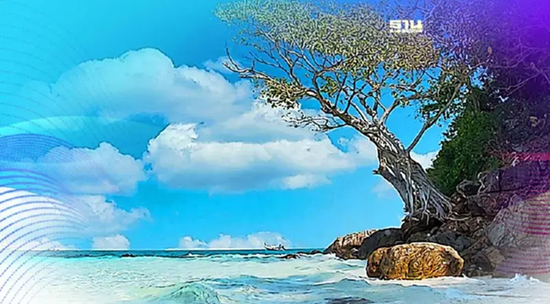 วันทะเลโลก World Oceans Day ท้องทะเลกำลังส่งสัญญาณเตือน วันทะเลโลก World Oceans Day ท้องทะเลกำลังส่งสัญญาณเตือน