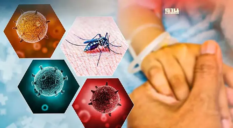 สาธารณสุข ห่วงคนไทยภูมิต้านทาน "ไข้เลือดออก" ตก ส่อระบาดหนัก 