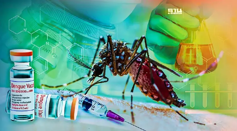 เปิด 4 กลุ่มเสี่ยงอาการรุนแรงจากไข้เลือดออก มีกลุ่มไหนบ้าง เช็คที่นี่