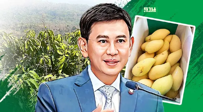 พาณิชย์ดันสินค้า GI ใหม่ มะม่วงน้ำดอกไม้สีทองบ้านโหล่น