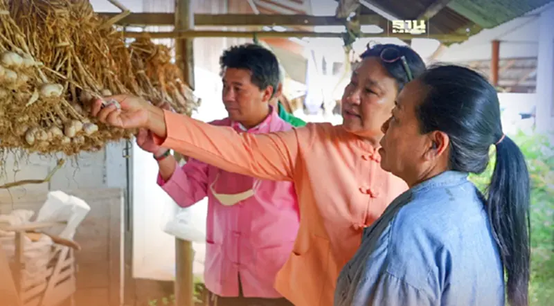 แบรนด์ ‘ใจกระเทียม’ แม่สะเรียง เพิ่มรายได้เกษตรกร 8 เท่าตัว แบรนด์ ‘ใจกระเทียม’ แม่สะเรียง เพิ่มรายได้เกษตรกร 8 เท่าตัว