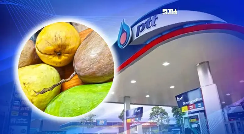 “พาณิชย์จังหวัดลำพูน”จับมือปั๊ม ปตท.  เปิดพื้นที่ให้เกษตรกรขายมะม่วงแฟนซี