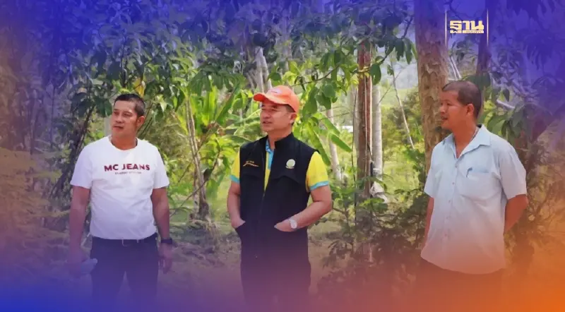 กรมชลฯ ส่งรถน้ำช่วยเหลือชาวสวนทุเรียนป่าละอู ช่วยบรรเทาทุกข์จากภัยแล้ง กรมชลฯ ส่งรถน้ำช่วยเหลือชาวสวนทุเรียนป่าละอู ช่วยบรรเทาทุกข์จากภัยแล้ง