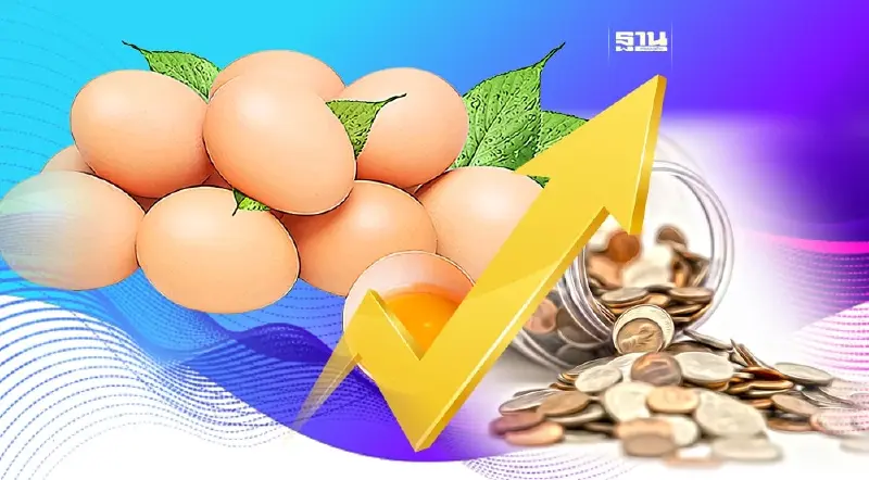 ไข่ไก่แพง “พาณิชย์”ยันยังดูแลได้ ชี้ขายปลีกราคาสูงเล็กน้อย