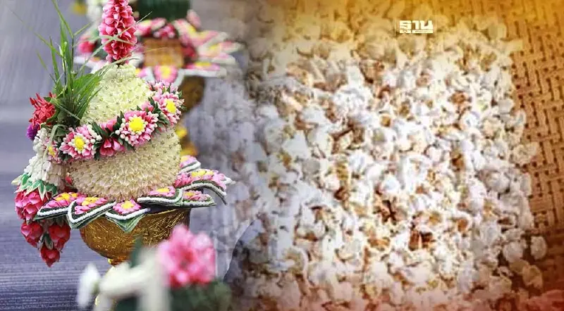 ความหมายของข้าวตอกวันไหว้ครู 2566 คืออะไรอ่านที่นี่มีคำตอบ