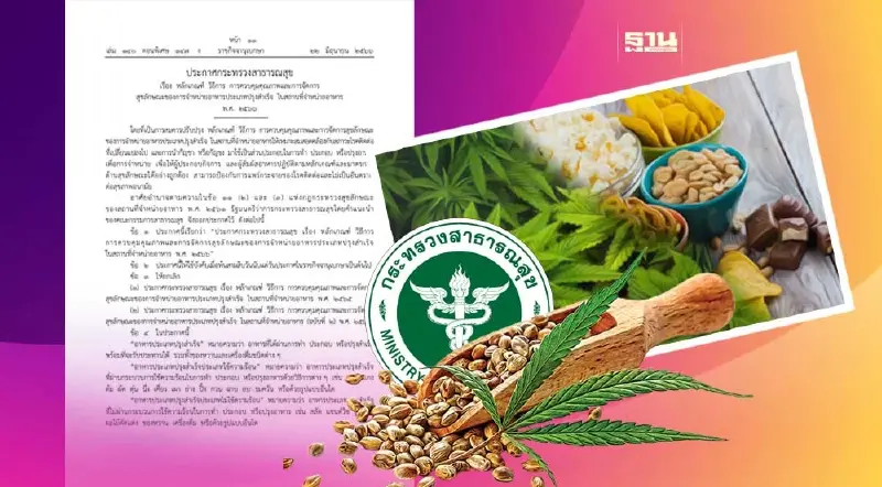 สธ. ออกประกาศใหม่ คุมเข้มร้านอาหาร ใส่ “กัญชา-กัญชง” ต้องปฏิบัติอย่างไร