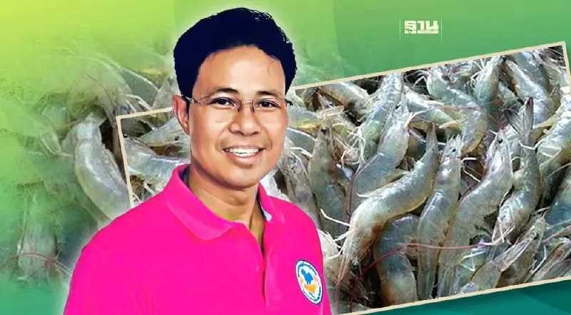 กุ้งราคาร่วง-ล้นตลาด เตือนเกษตรกรชะลอการเลี้ยงก่อนเจ๊ง