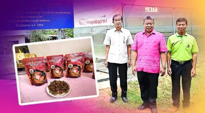 พลังงานหนุนเทคโนโลยีวิสาหกิจชุมชนเลี้ยงจิ้งหรีดขอนแก่นลดต้นทุน