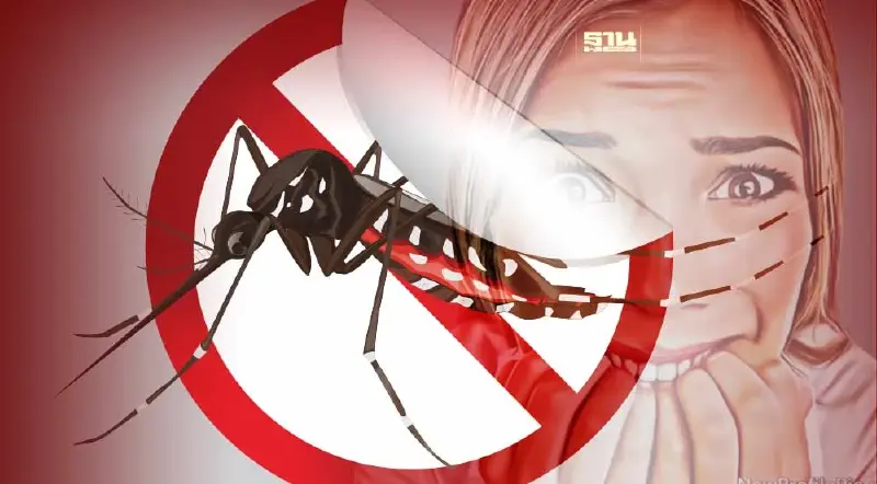 โรคไข้เลือดออกป่วยพุ่งกว่า1.9หมื่น เสียชีวิต17ราย แนวโน้มระบาดหนัก