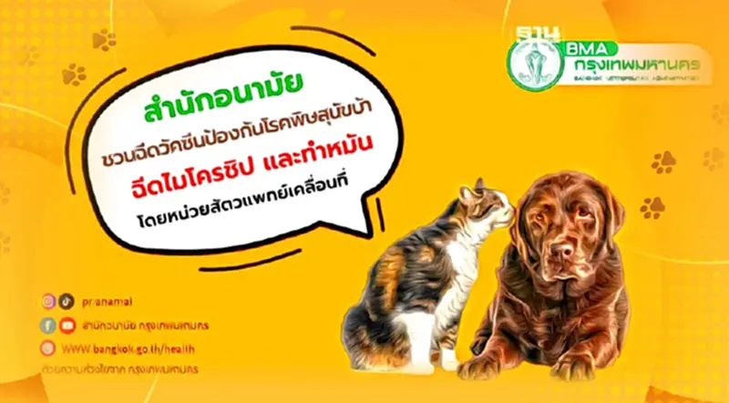 จุดฉีดวัคซีนป้องกันโรคพิษสุนัขบ้า-ทำหมัน-ฝังไมโครชิพฟรี เดือนมิ.ย.66 จุดฉีดวัคซีนป้องกันโรคพิษสุนัขบ้า-ทำหมัน-ฝังไมโครชิพฟรี เดือนมิ.ย.66