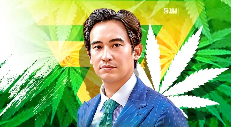 "ก้าวไกล" เดินหน้าดึงกัญชากลับเป็นยาเสพติด