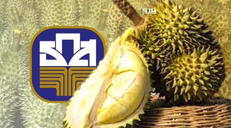 ธ.ก.ส. ชวนชิม ชอปทุเรียนภูเขาไฟศรีสะเกษ 22-23 มิ.ย. นี้ 