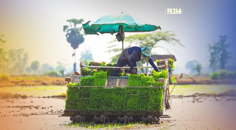 กรมส่งเสริมสหกรณ์ สร้างความเข้มแข็งแก่ชาวนาไทย