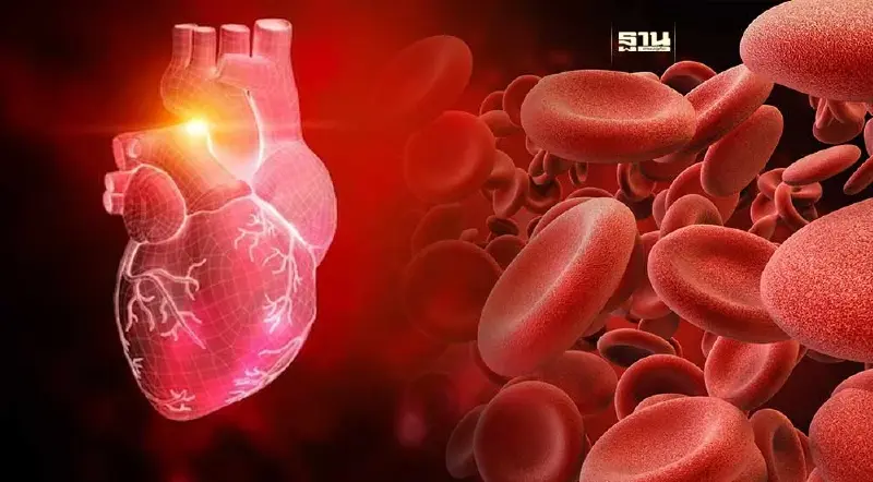 Heart Attack ภัยเงียบสำคัญที่เสี่ยงทำให้เกิดภาวะหัวใจล้มเหลว