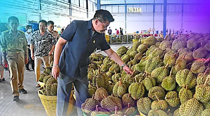 “ทุเรียนใต้” คึกคัก หลังจีนต้องการสูงดันราคาพุ่ง