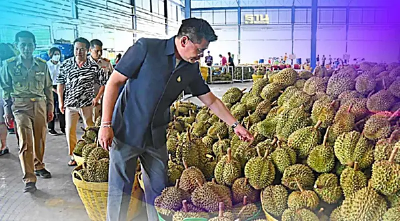 “ทุเรียนใต้” คึกคัก หลังจีนต้องการสูงดันราคาพุ่ง “ทุเรียนใต้” คึกคัก หลังจีนต้องการสูงดันราคาพุ่ง