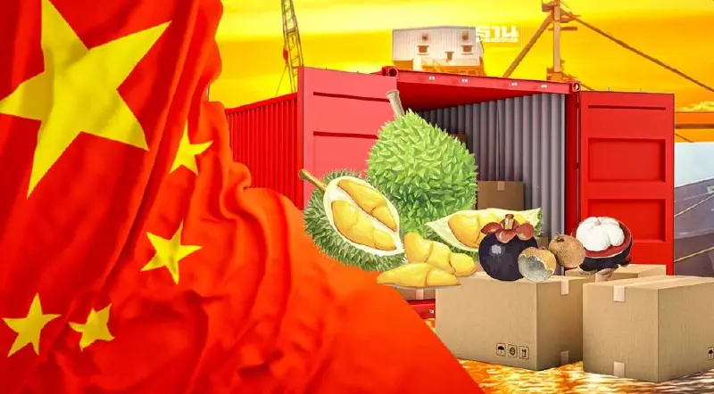 ผลไม้ไทยยังฮอตในตลาดจีน “มังคุด ทุเรียน ลำไย” ยอดขายพุ่ง