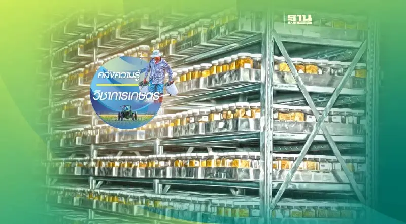 “ธนาคารเชื้อพันธุ์พืช”อนาคตความมั่นคงทางอาหารไทย