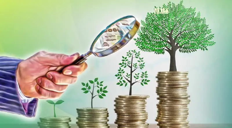 รู้จัก “ต้นไม้หลักประกันทางธุรกิจ” คืออะไร มีต้นไม้อะไรบ้าง