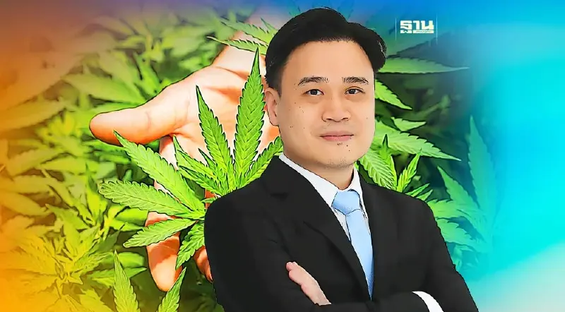 “DOD” ส่งออกสารสกัดกัญชง-กัญชาตีตลาดญี่ปุ่น