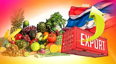 “พาณิชย์”มั่นใจส่งออกไตรมาส3-4พลิกบวก