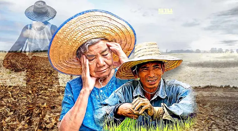 “เอลนีโญ”ภัยแล้งปี66ทำเกษตรกรไทยป่วน ราคาดีแต่ไม่มีของขาย
