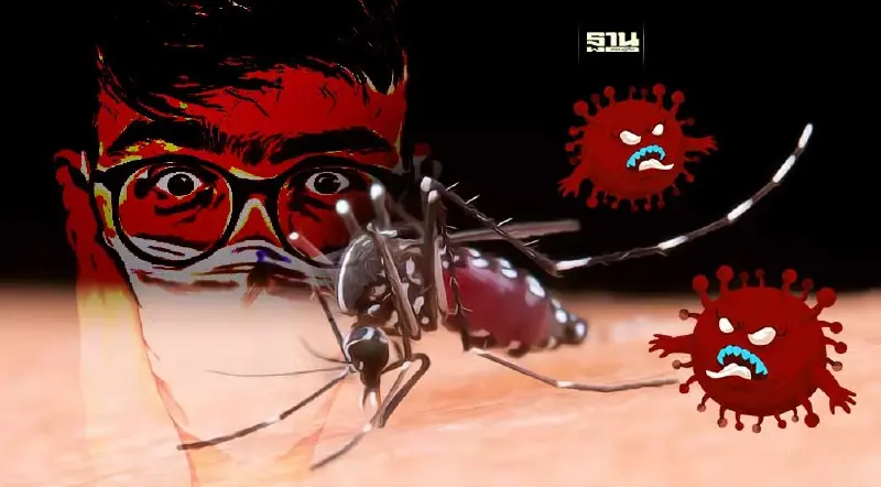 เตือน!ระวังติดเชื้อ"โควิด"ร่วมกับ"ไข้เลือดออก" อาการยังไง เช็คเลยที่นี่