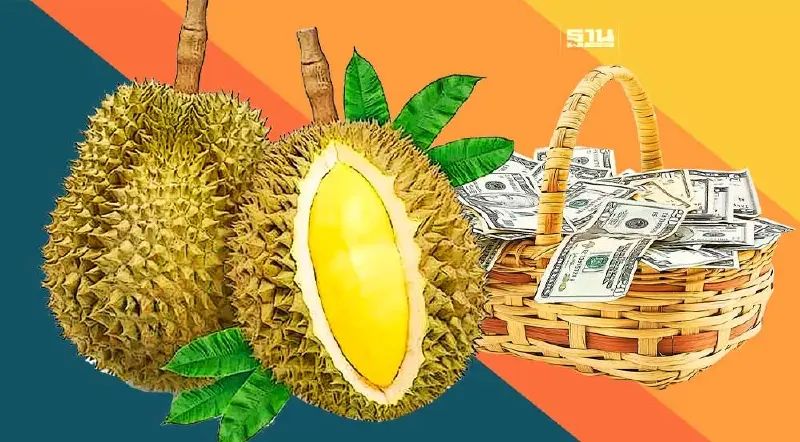 ทุเรียนไทยสุดปัง 5เดือนขนเงินเข้าประเทศกว่า6หมื่นล้าน